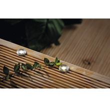 LED venkovní vestavné osvětlení Paulmann 93695 Plug and Shine MicroPen II IP67 5x0,22W 3000K nerezová ocel 5ks-thumb-3 LED venkovní vestavné osvětlení Paulmann 93695 Plug and Shine MicroPen II IP67 5x0,22W 3000K nerezová ocel 5ks-thumb-3