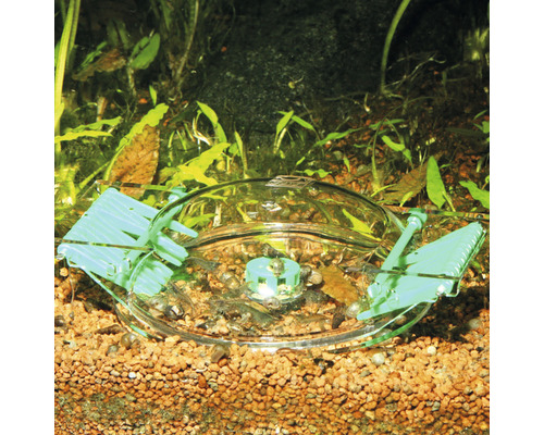 Akvárium se zvonem na krmivo a krevetami