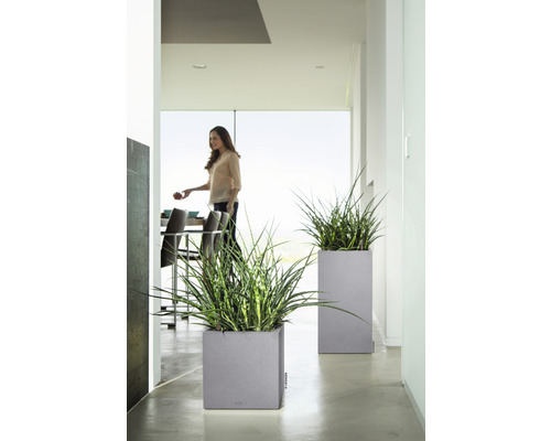 Dva šedé květináče se zelenými rostlinami ve světlé místnosti