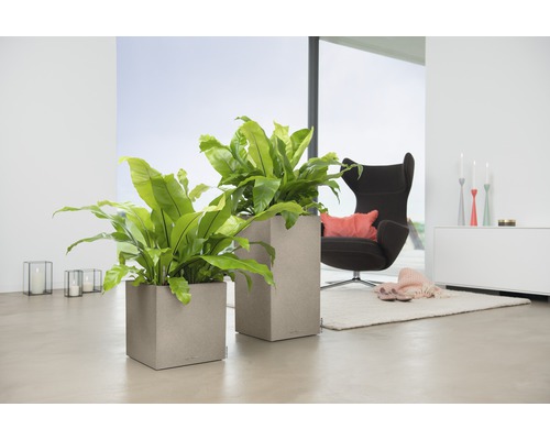 Dva čtvercové květináče s rostlinami v světlém obývacím pokoji.