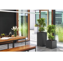 Světlý interiér s dřevěným stolem, lavicemi a květináči