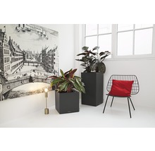 Dva šedé květináče s rostlinami ve světlé místnosti