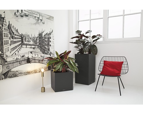 Dva šedé květináče s rostlinami ve světlé místnosti