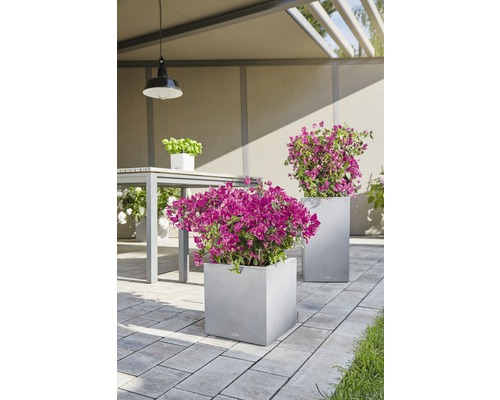 Zahradní scéna s květináči a stolní soupravou na dlážděné ploše