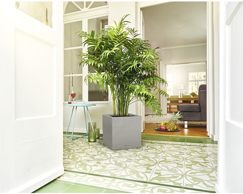 Interiérová scéna s pokojovou rostlinou v šedém květináči