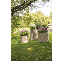 Tři osazené kubické květináče na zahradě.