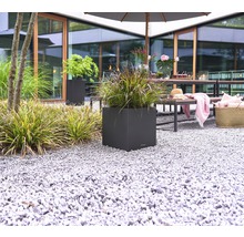 Zahradní scéna s rostlinami ve čtvercovém květináči na štěrku