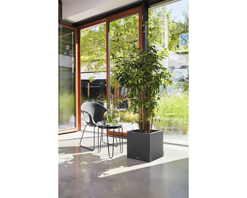 Světlý interiér s rostlinou v hranatém květináči, židlí a stolem u okna