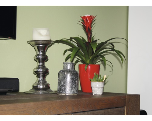 Dekorativní prvky na dřevěné komodě: svícen, bromélie v květináči a malá váza