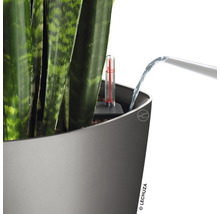 Zalévání rostliny v květináči s ukazatelem hladiny vody