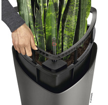 Detailní záběr květináče Lechuza se zavlažovacím systémem a ukazatelem hladiny vody