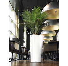 Místnost s rostlinou v bílém květináči