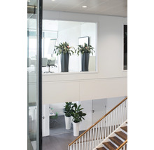 Interiérová fotografie schodiště s hrnkovými rostlinami v různých úrovních.