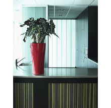 Kuchyňská scéna s umyvadlem, pracovní deskou a hrnkovou rostlinou v červeném květináči