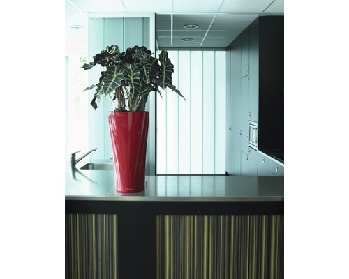 Kuchyňská scéna s umyvadlem, pracovní deskou a hrnkovou rostlinou v červeném květináči