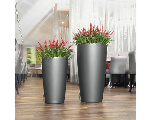 Dva vysoké květináče s rostlinami na dřevěné podlaze.