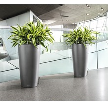 Dva vysoké květináče s rostlinami v interiéru.