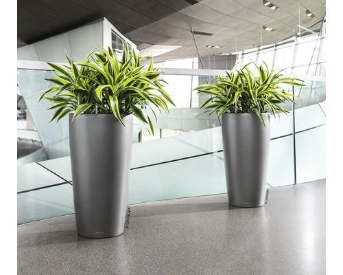 Dva vysoké květináče s rostlinami v interiéru.