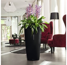 Vysoký, štíhlý květináč se zelenou rostlinou a fialovými květy v obývacím pokoji