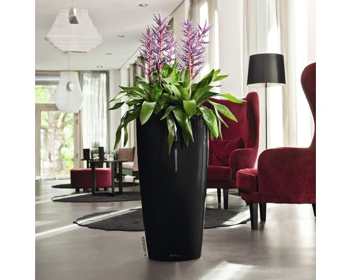 Vysoký, štíhlý květináč se zelenou rostlinou a fialovými květy v obývacím pokoji