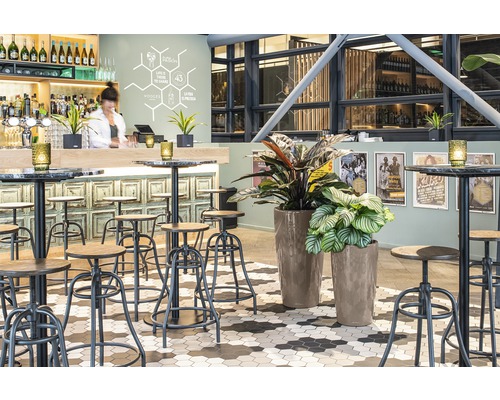 Interiér baru se stoličkami, stoly a rostlinami