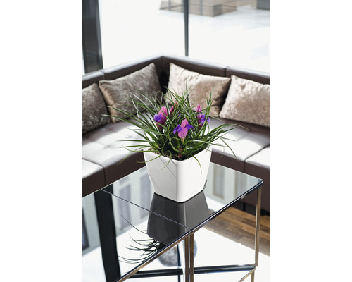 Dekorativní aranžmá s fialovými kosatci v bílém květináči na odkládacím stolku