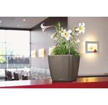 Čtvercový květináč s liliemi na červeném stole