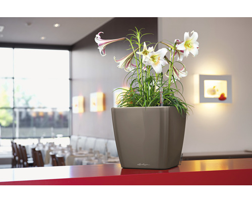 Čtvercový květináč s liliemi na červeném stole