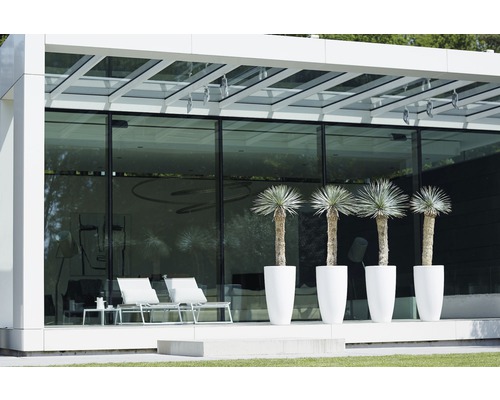 Moderní venkovní scéna s rostlinami v květináčích, židlemi a stolem