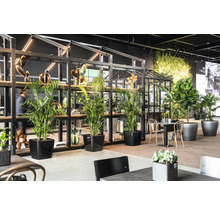 Interiér s rostlinami v květináčích, regálem a posezením