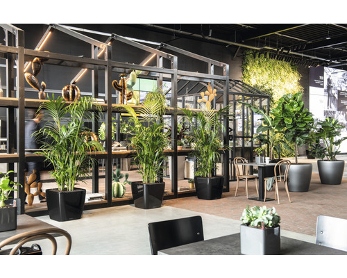 Interiér s rostlinami v květináčích, regálem a posezením