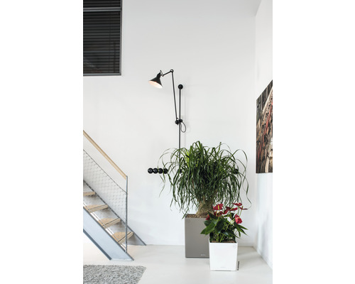 Interiérová scéna se schodištěm, nástěnnou lampou, věšákem a pokojovými rostlinami v květináčích