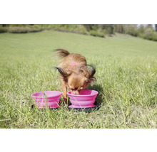 Miska pro psy cestovní Kiwi Walker 2x 350 ml oranžová-thumb-5