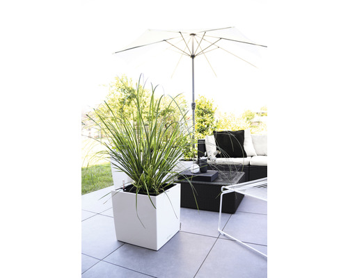 Terasa s květináčem, posezením a slunečníkem pro venkovní použití