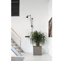 Interiérová scéna se schodištěm, rostlinou v květináči a nástěnnou lampou