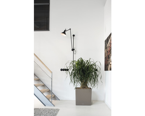 Interiérová scéna se schodištěm, rostlinou v květináči a nástěnnou lampou