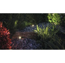 LED venkovní bodové osvětlení Paulmann 94156 Plug & Shine Plantini IP65 3x2,5W 3x90lm 3000K antracit-thumb-3 LED venkovní bodové osvětlení Paulmann 94156 Plug & Shine Plantini IP65 3x2,5W 3x90lm 3000K antracit-thumb-3