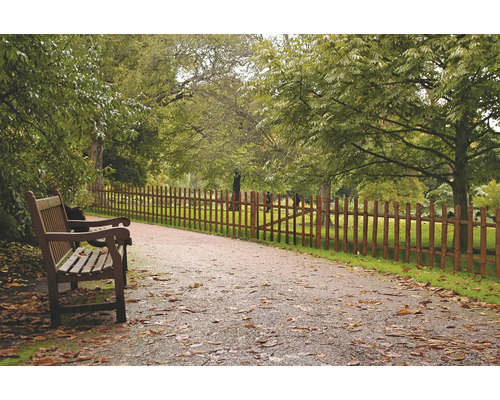 Scéna s parkovou lavičkou a dřevěným plotem podél cesty