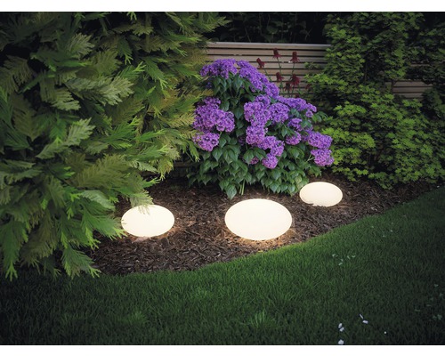 Zahradní krajina s rostlinami a kulatými zahradními světly