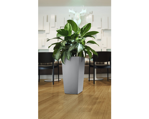 Rostlina v šedém, čtvercovém květináči v interiéru.