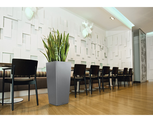 Interiérová fotografie místnosti s jídelním stolem, židlemi a vysokým šedým květináčem se zelenou rostlinou