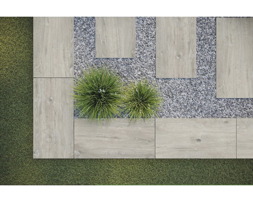 Zahradní scéna s kamennými deskami, štěrkem a rostlinami