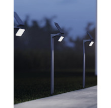 Několik solárních lamp podél cesty v zahradě.