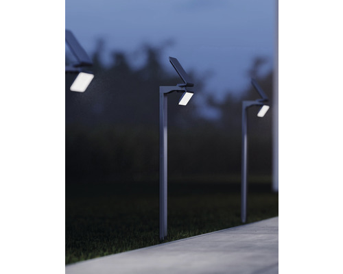 Několik solárních lamp podél cesty v zahradě.