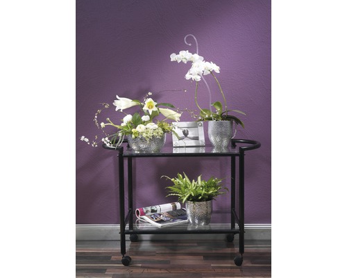 Servírovací vozík s květinovou vazbou a pokojovými rostlinami ve dvou úrovních před stěnou