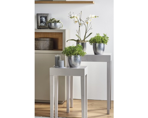 Dekorativní design interiéru s rostlinami v květináčích a svíčkami na stolech