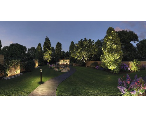 Osvětlená zahrada se stromy, trávníkem a kamennou cestou