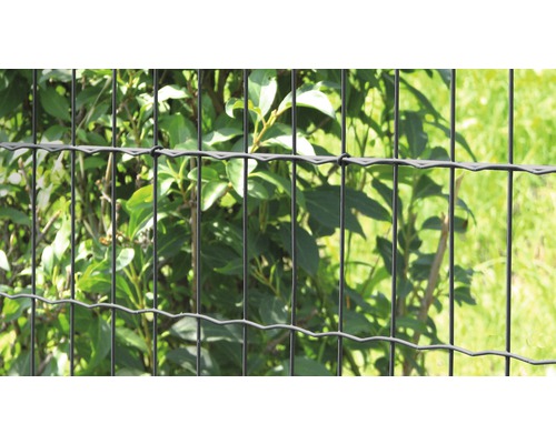 Plot z dvojitého pletiva před zelenými rostlinami