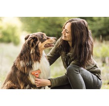 Žena kartáčuje psa kartáčem na péči o srst