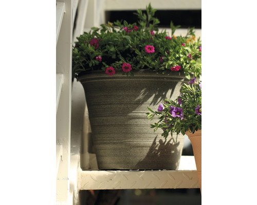 Květináč s fialovými květy na schodech